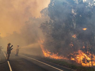 2019 Bushfire